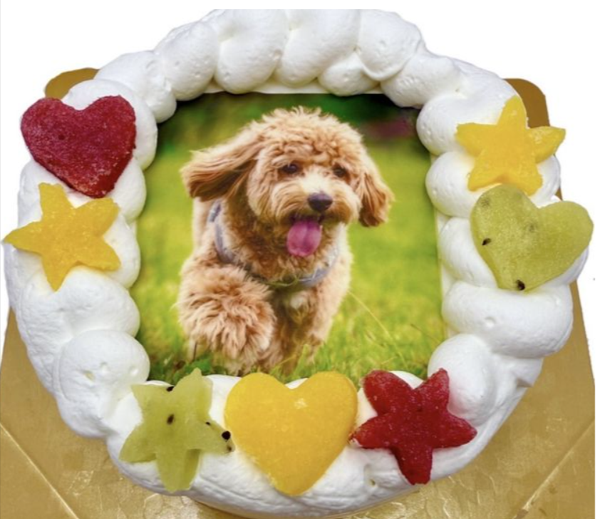 わんちゃん用EWP対応 室内犬用 ワンワン写真ケーキ 3号 9cm（サプライズケーキ専門店 菓の香（かのか）） _ Cake.jp